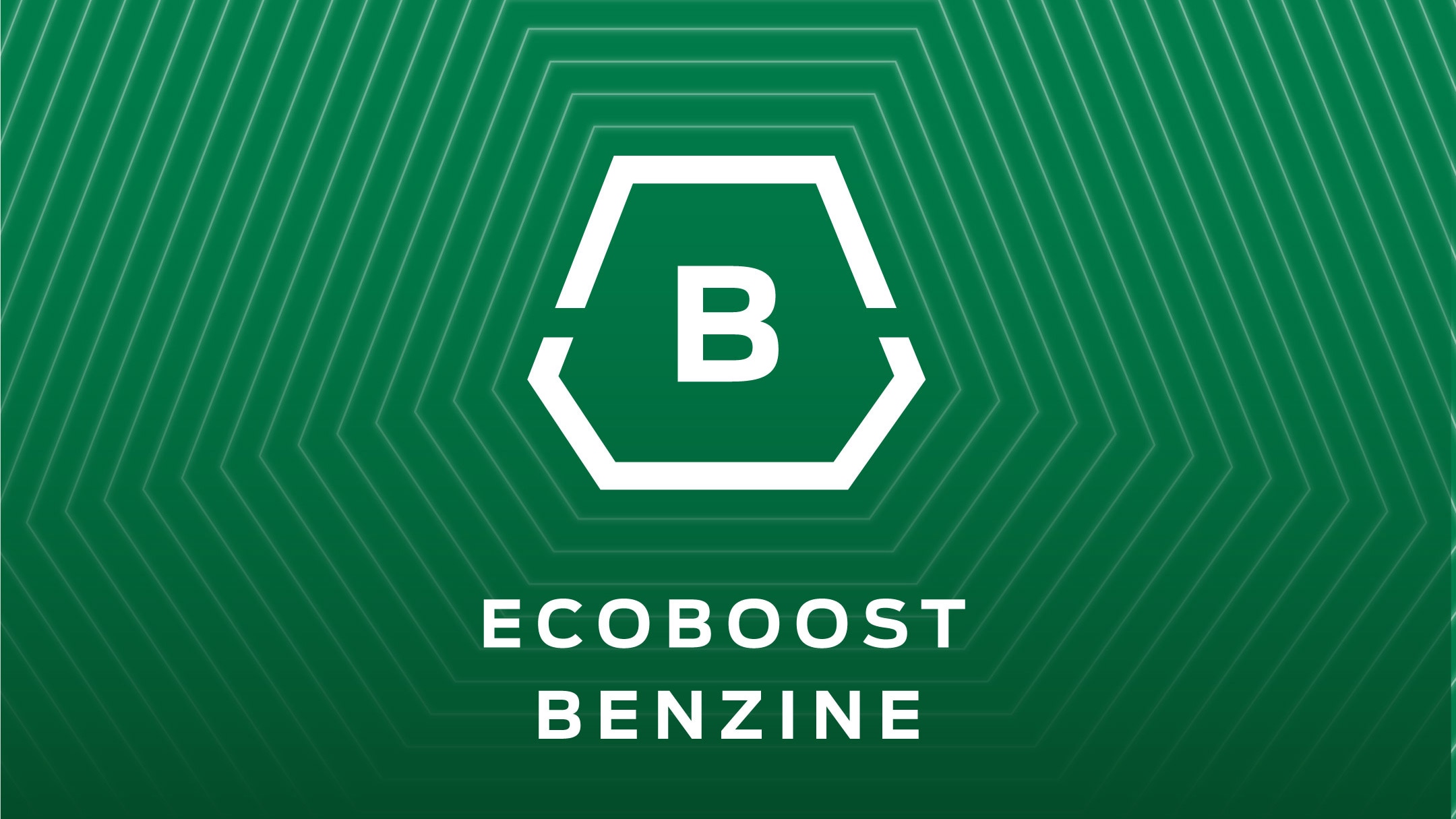 Ecoboost petrol icon