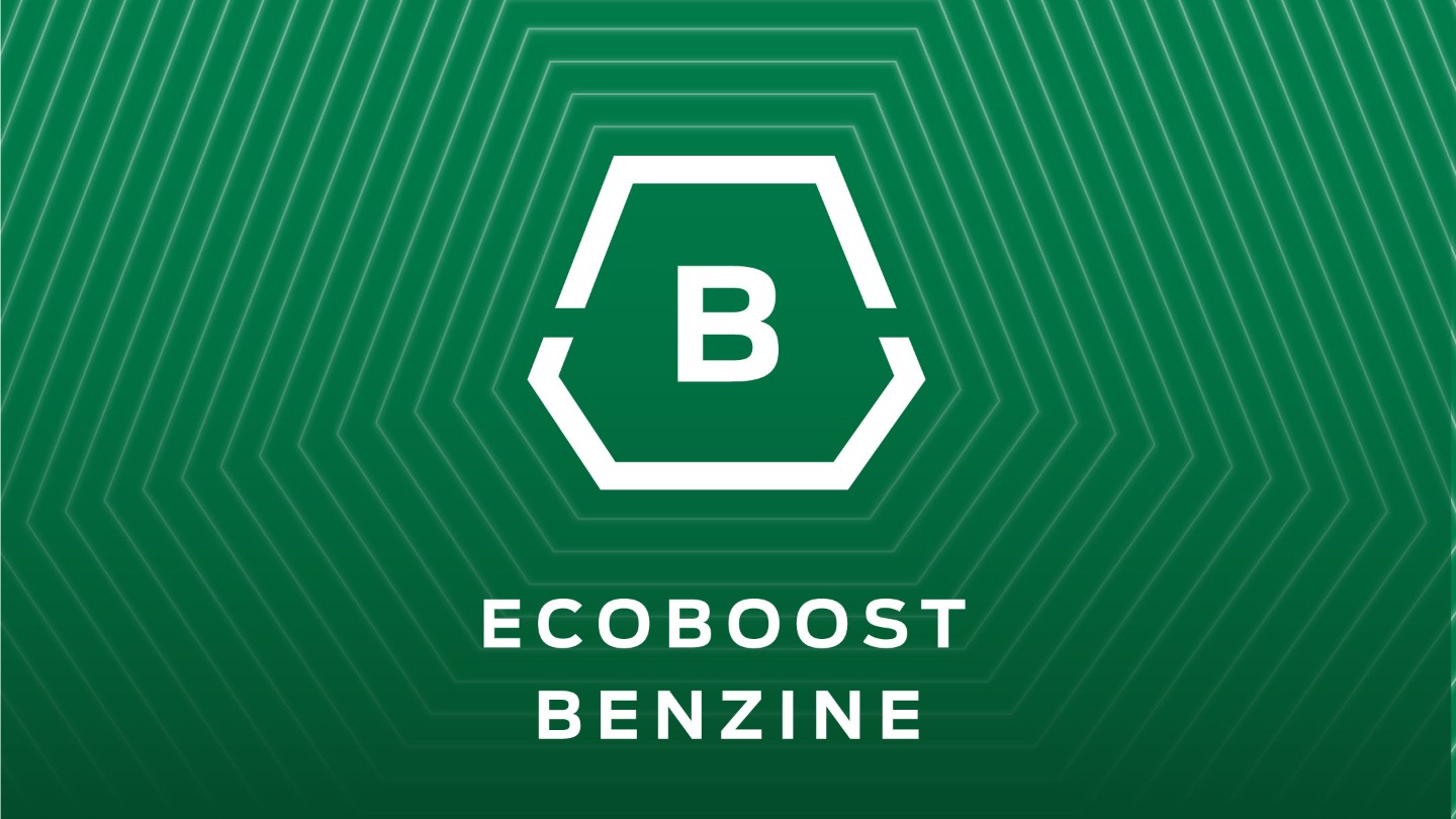 Ecoboost petrol icon