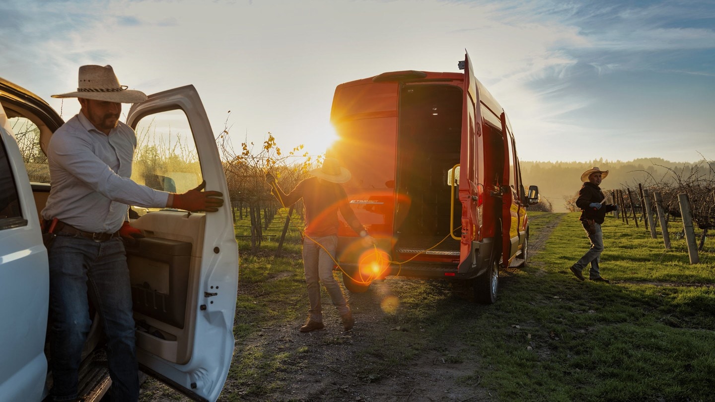 Ford Transit, couleur rouge, vue arrière avec ouvrier dans un vignoble