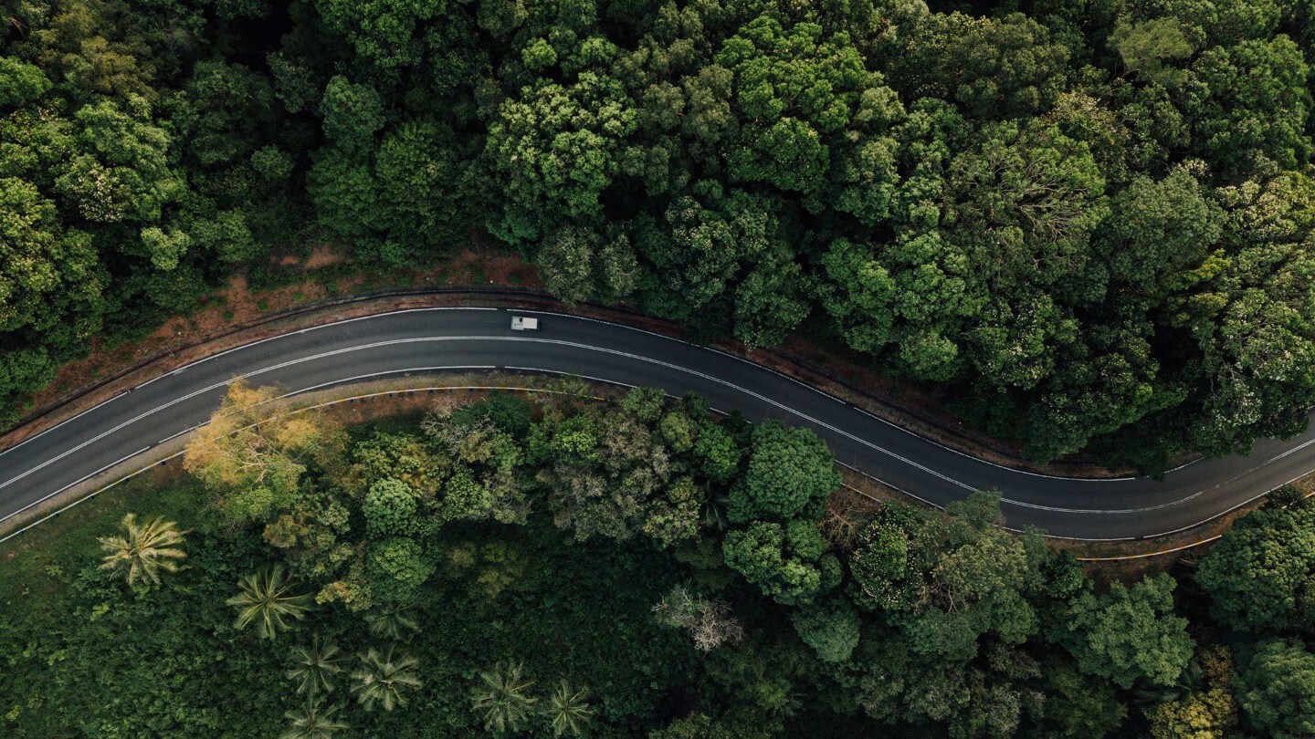 Road in the forest view from above