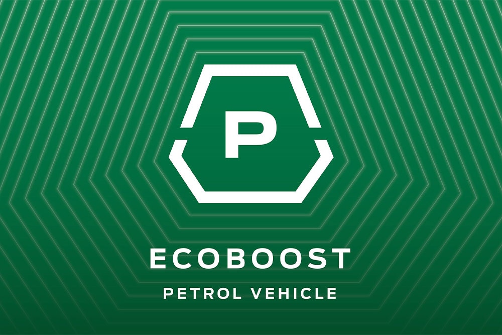 Ecoboost benzine-icoon