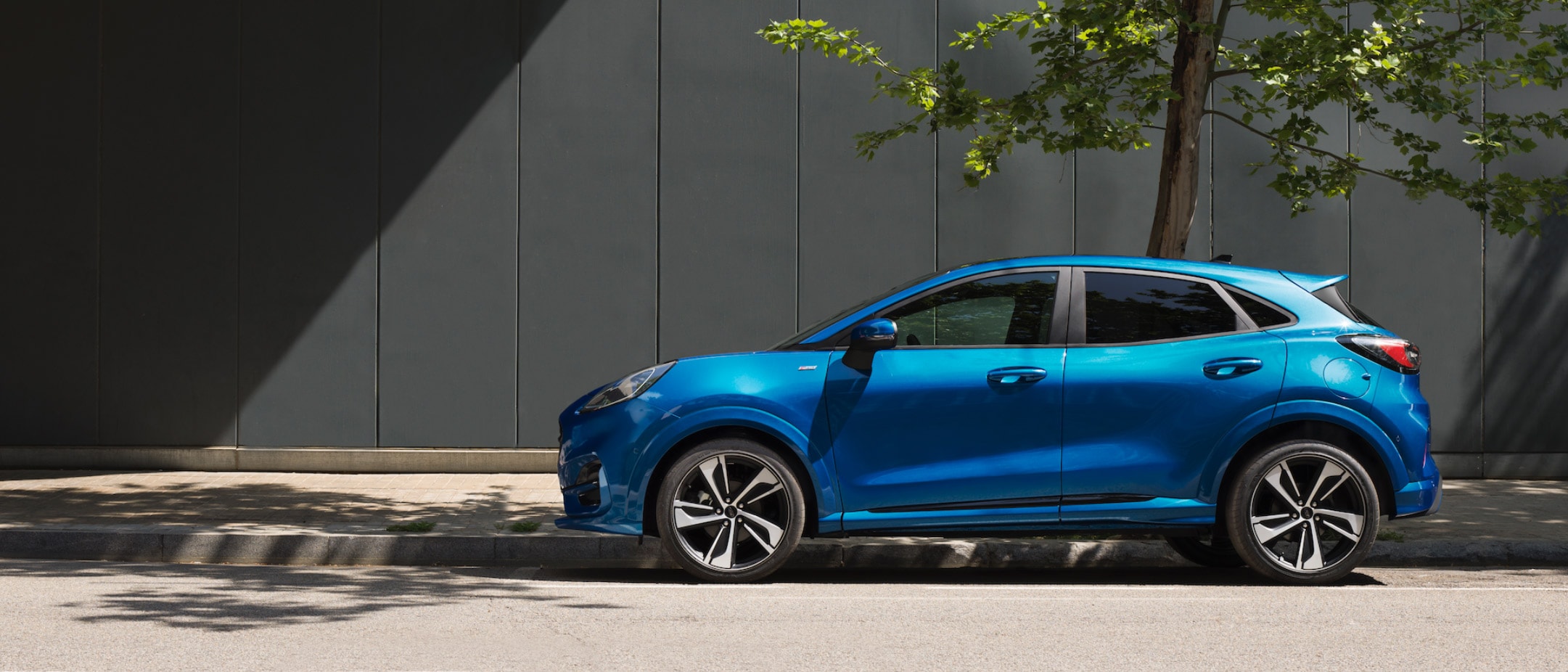 Blue Puma Parked on a street in front of a tree and a gray wall.