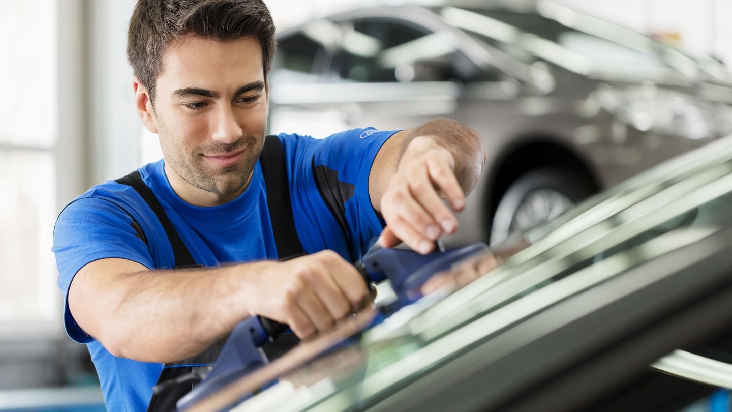 Ford Service engineer, replacing front bumper